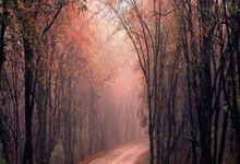 斯洛伐克远赴巴塞罗那,士气高涨为未来铺路