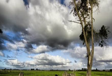 绿白旋风席卷柏林!斯图加特客场斩落联盟,豪取两连胜,德甲格局悄然生变!