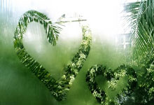 恒大主力回归,士气大增!