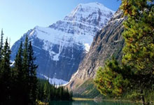 拜仁慕尼黑:德甲巨人凯歌行,欧冠赛场再展雄风!