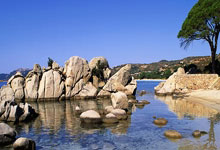 斯洛伐克远赴巴塞罗那,士气高涨为未来铺路